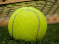 科维托娃新星出色发挥表现突出，德国队前途光明！赢得满堂喝彩